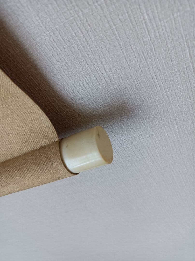 レア 軸 開運 縁起物 厄除 凶殺 お守 絵 日本 中国 美術 インテリア