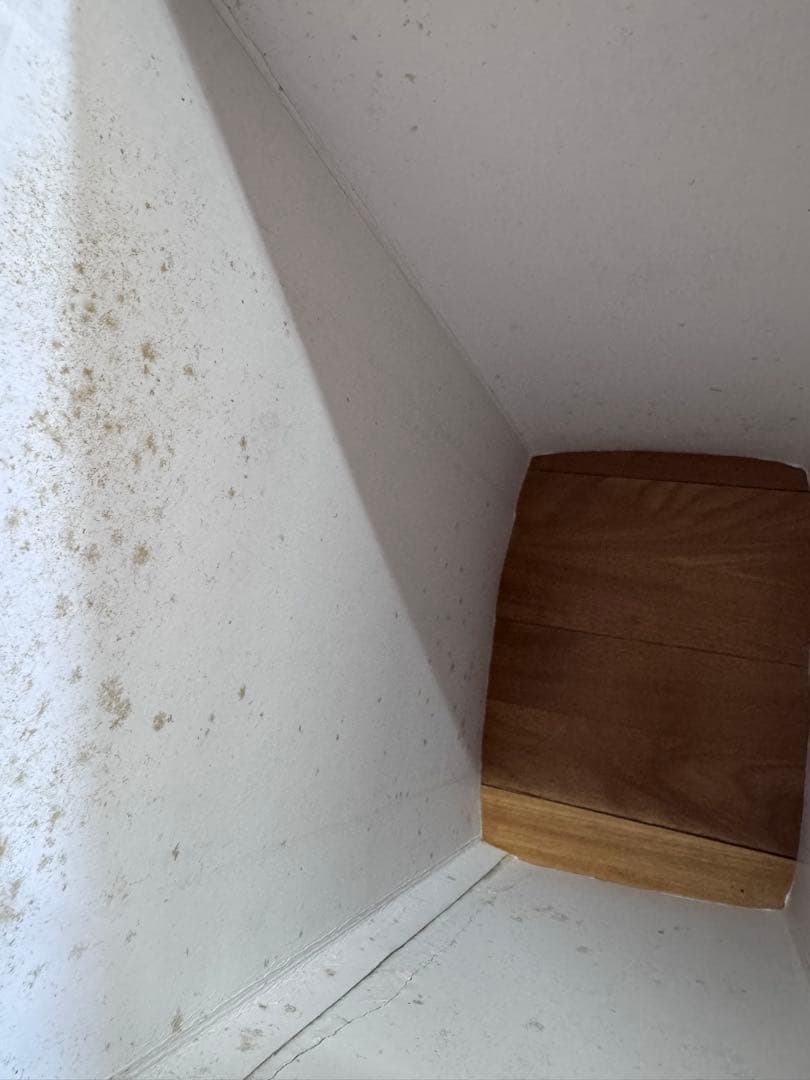 エンターベイ 燃えよドラゴン ブルースリー Aタイプ 青箱