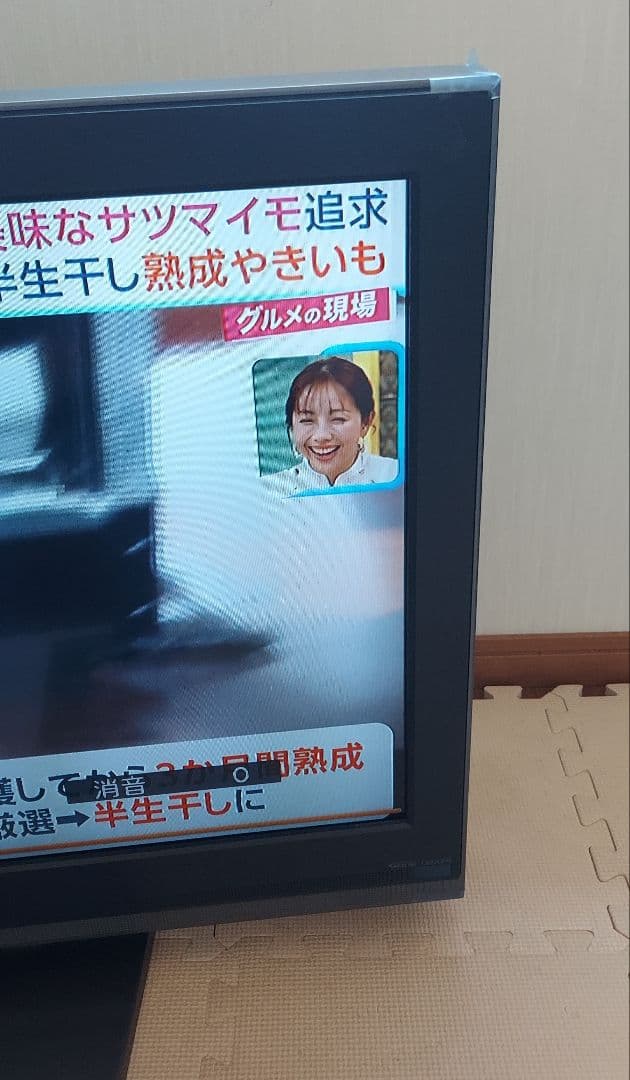 32V型 液晶 テレビ LCD-32MX11 ハイビジョン 2008年モデル