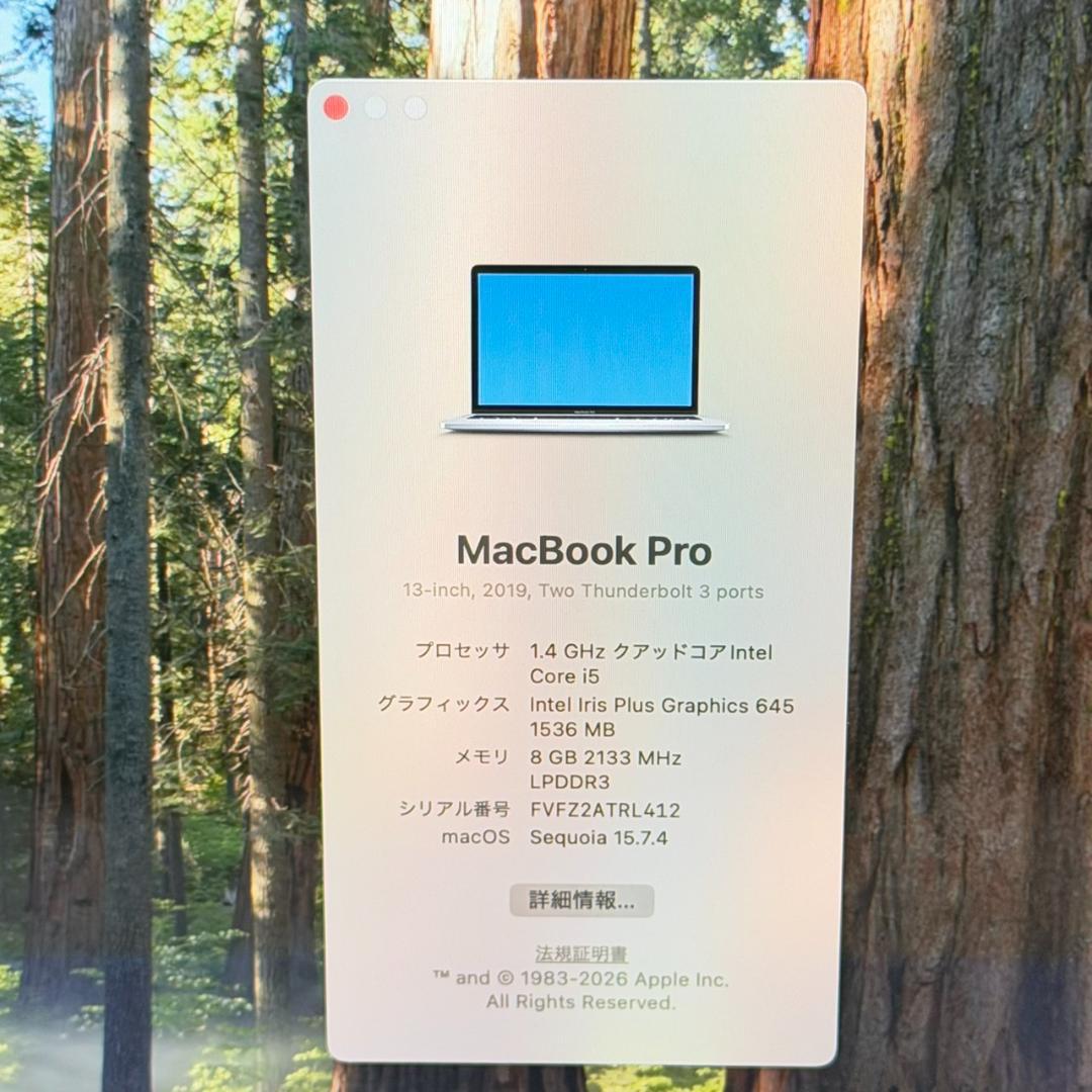 MacBook本体 A6613 Apple MacBook Pro i5 13inch 2019