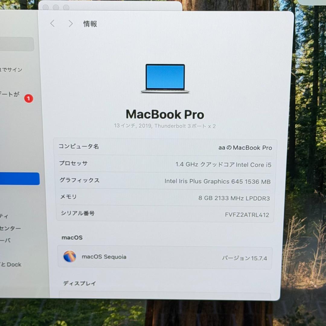 MacBook本体 A6613 Apple MacBook Pro i5 13inch 2019
