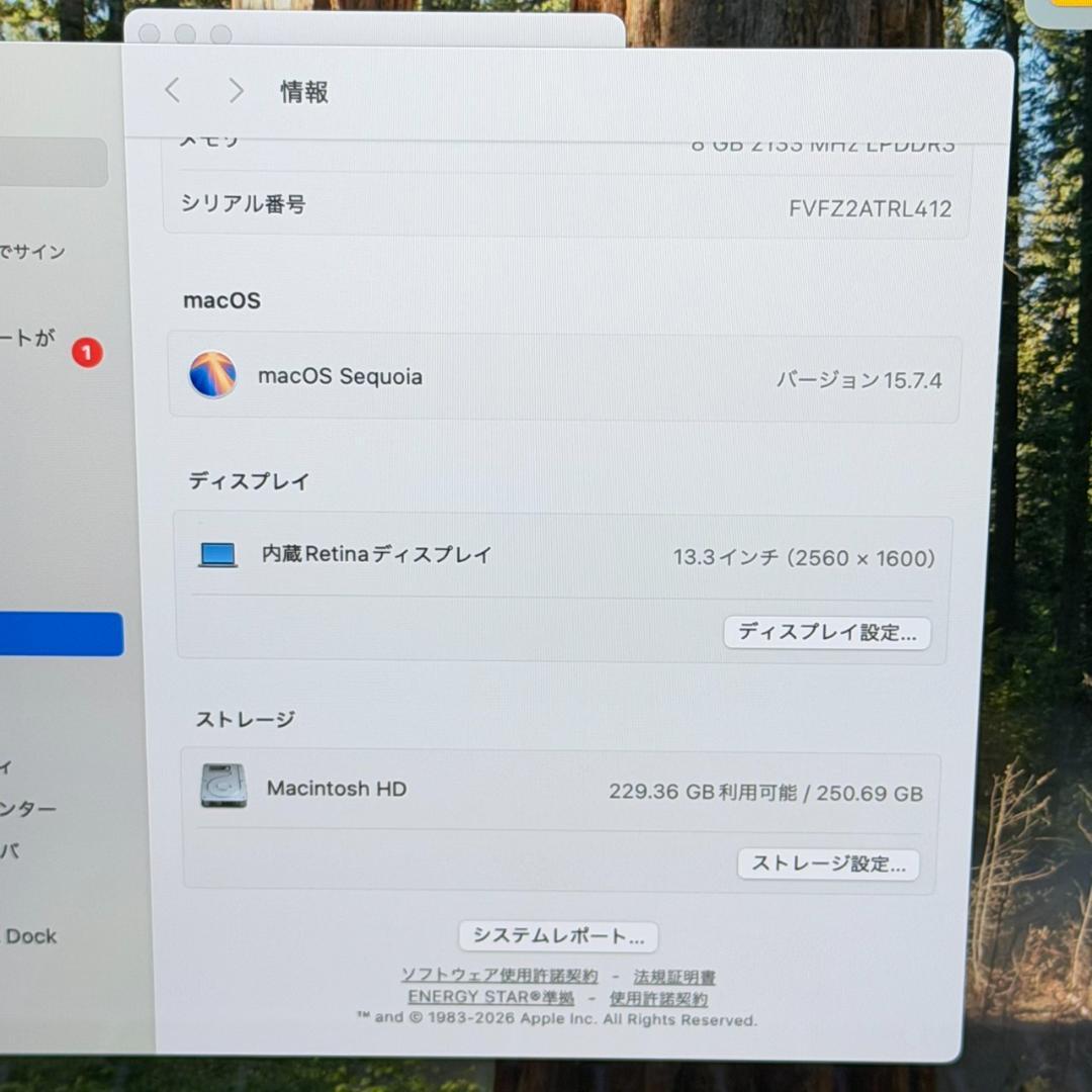 MacBook本体 A6613 Apple MacBook Pro i5 13inch 2019