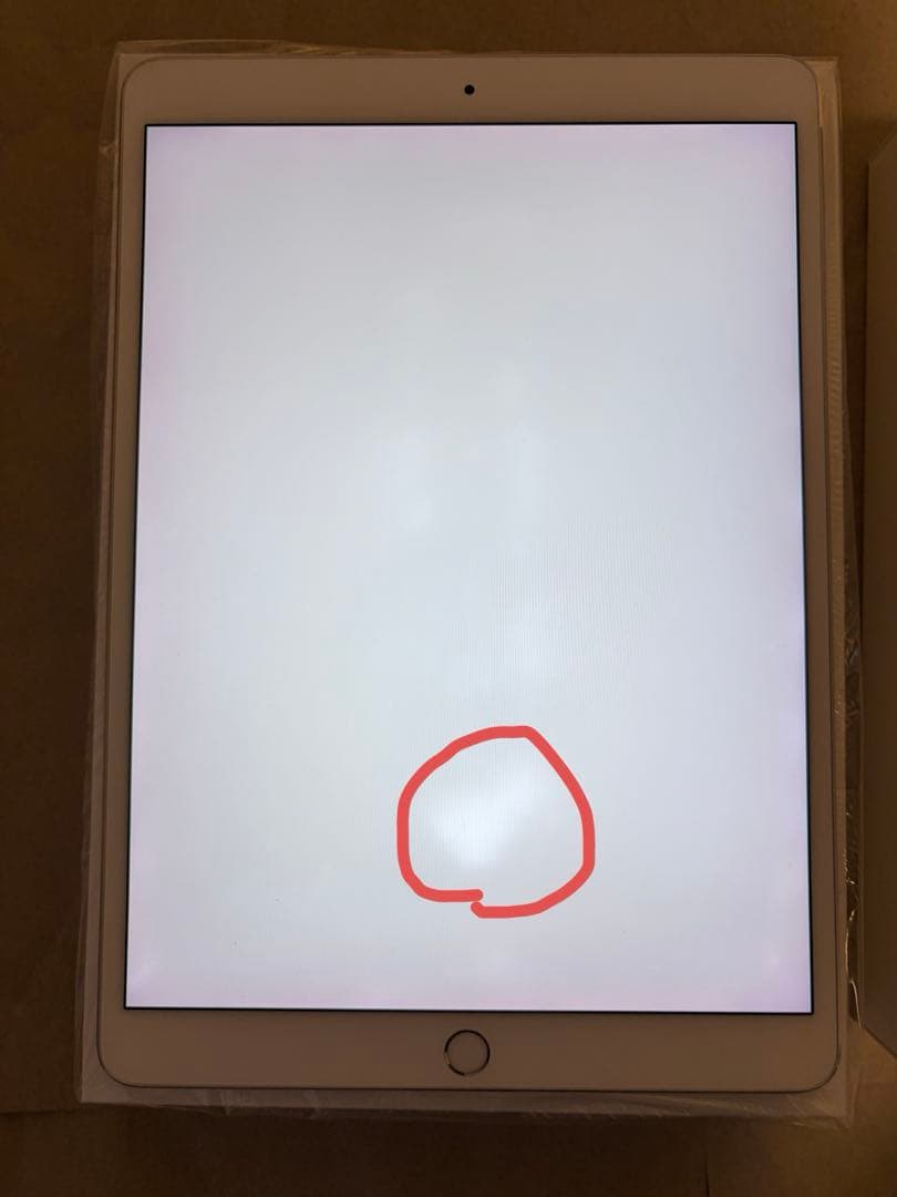 iPad Pro 10.5インチ 256GB Wi-Fiモデル