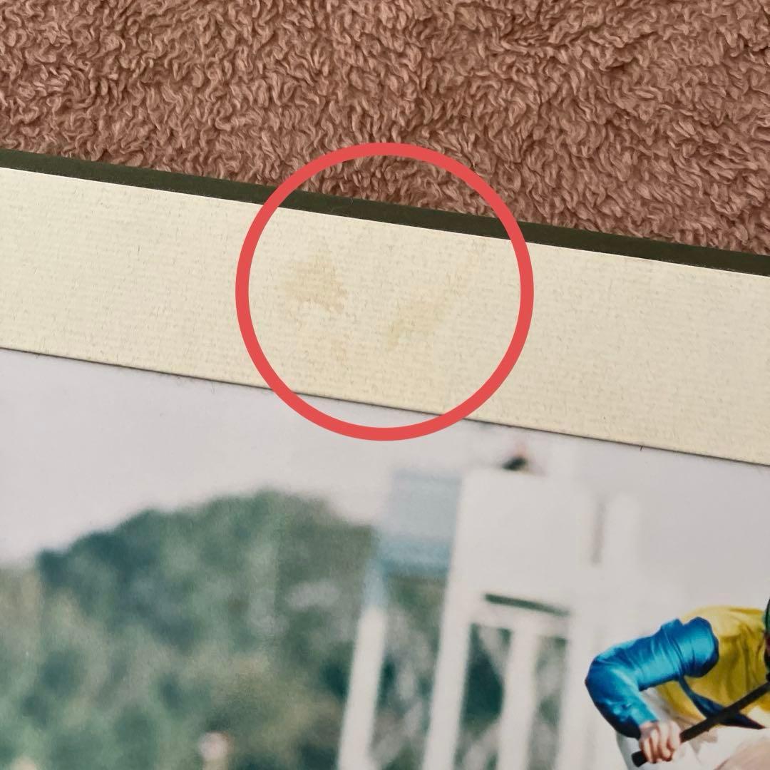 週刊Gallop 特製パネル　優勝馬　エアグルーヴ　天皇賞秋