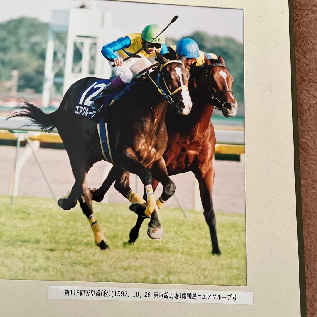 週刊Gallop 特製パネル　優勝馬　エアグルーヴ　天皇賞秋