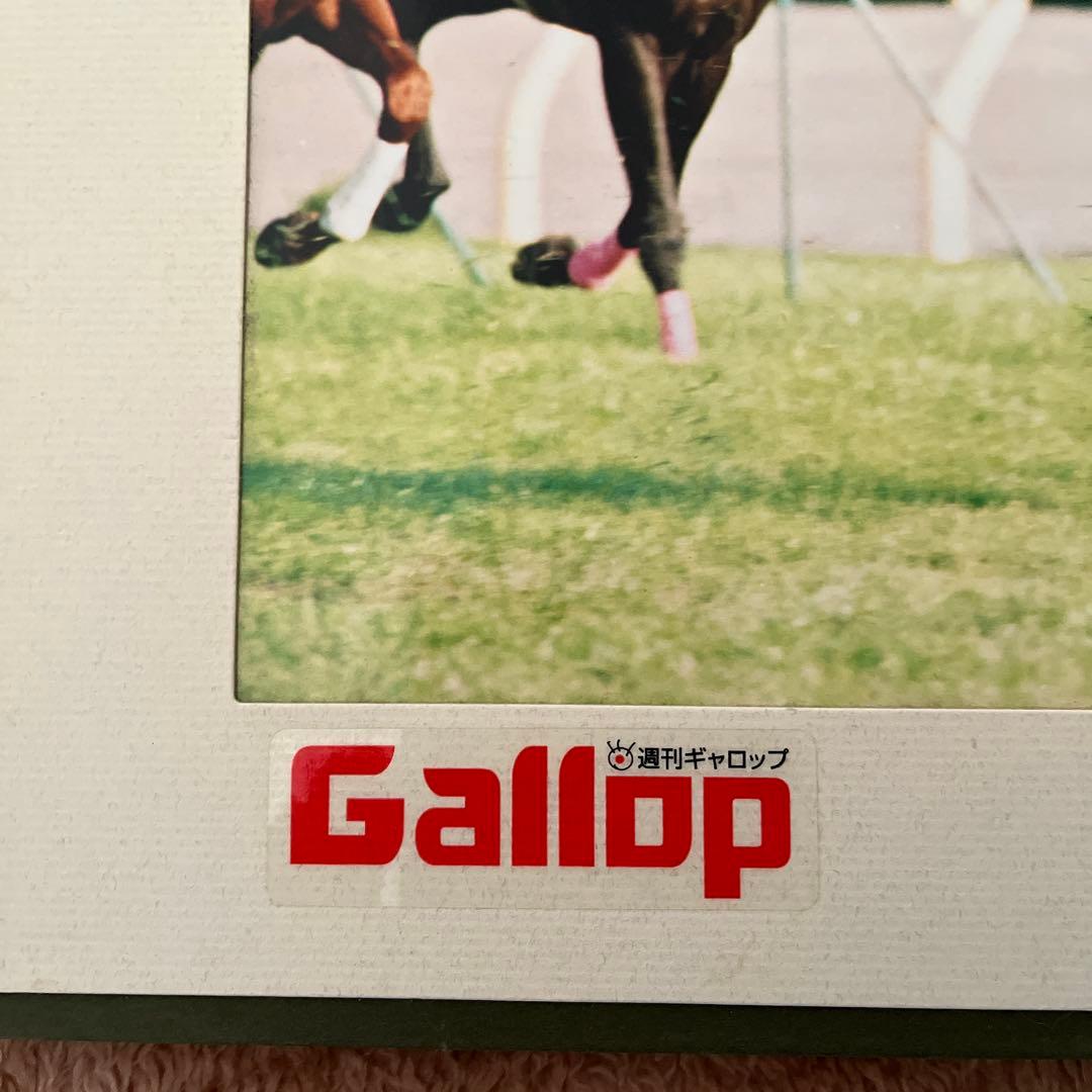 週刊Gallop 特製パネル　優勝馬　エアグルーヴ　天皇賞秋
