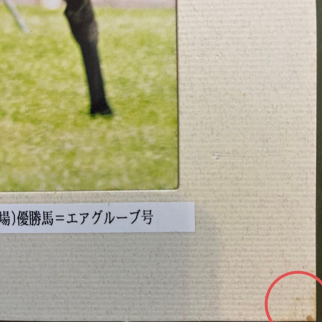 週刊Gallop 特製パネル　優勝馬　エアグルーヴ　天皇賞秋