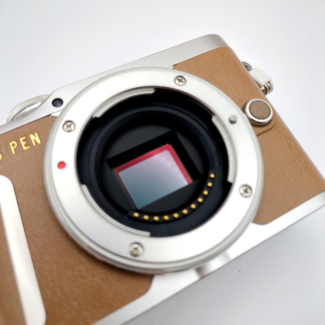 【シャッター回数776】 OLYMPUS PEN E-PL9 ダブルズームキット