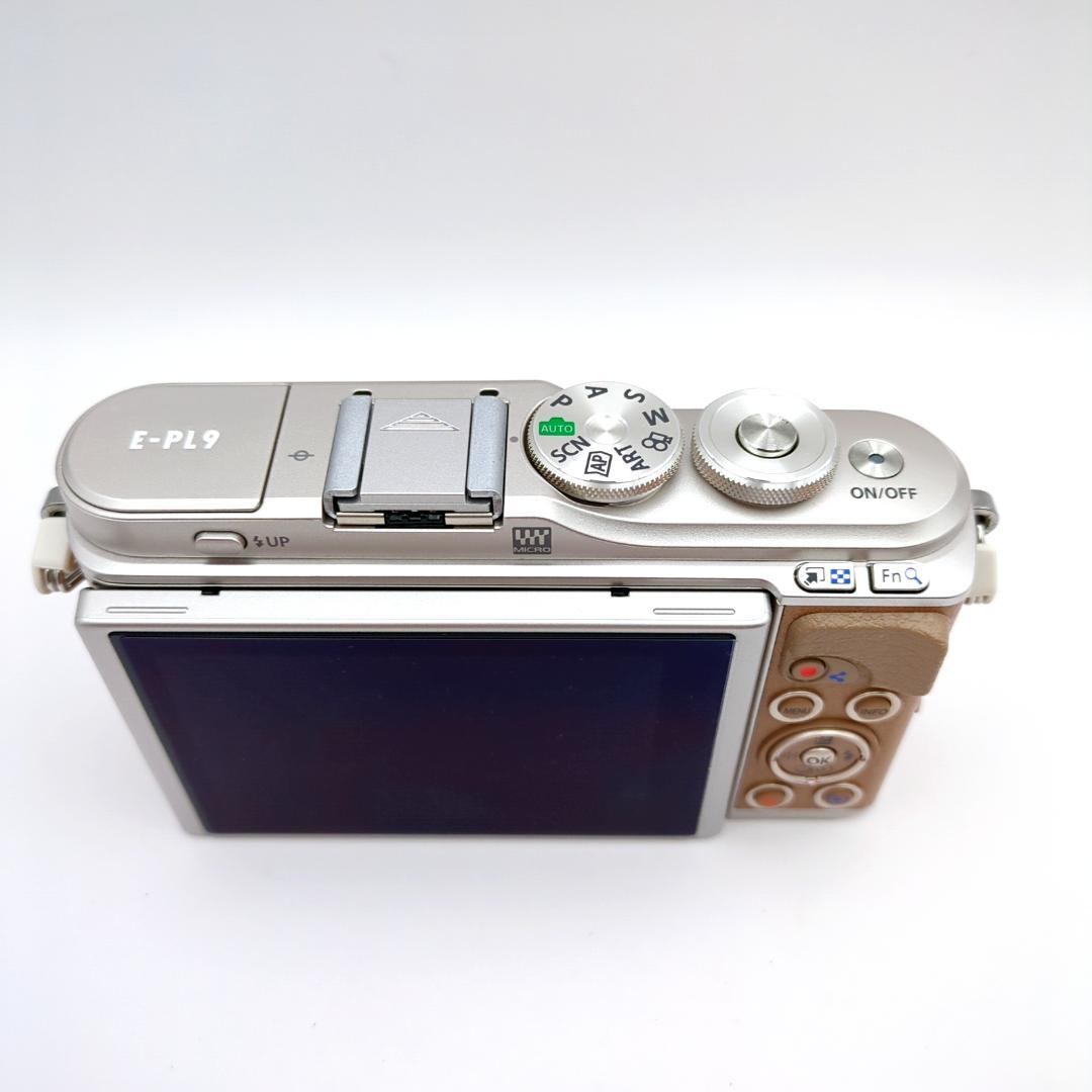 【シャッター回数776】 OLYMPUS PEN E-PL9 ダブルズームキット