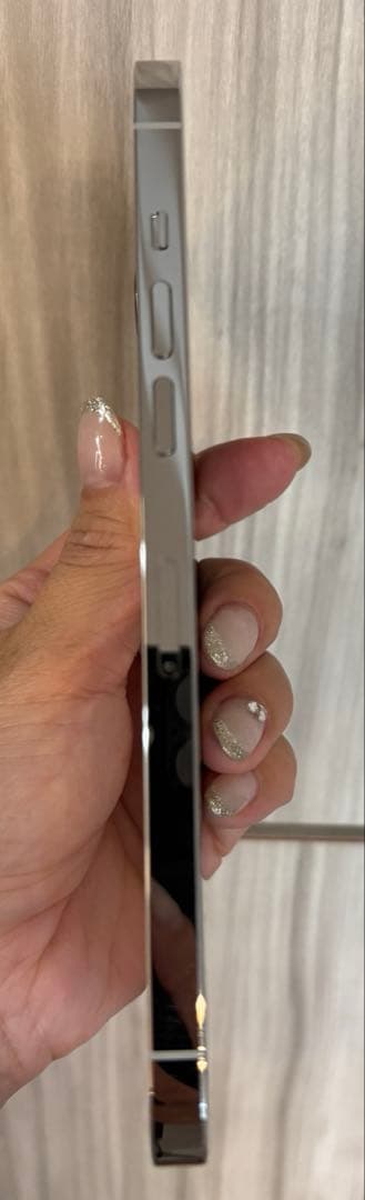 新品Apple iPhone12 pro max 256GBシルバー 本体