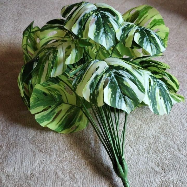 班入りモンステラフェイク