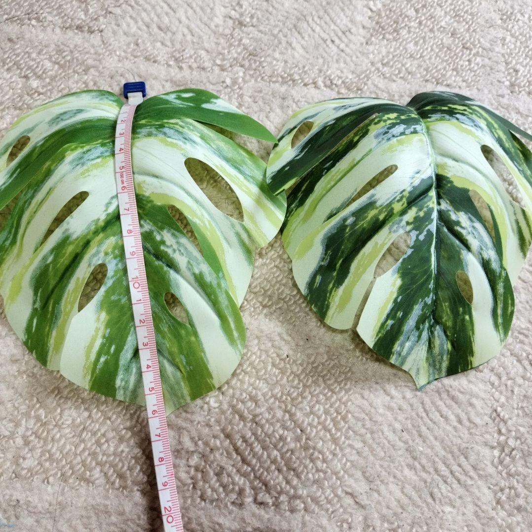 班入りモンステラフェイク