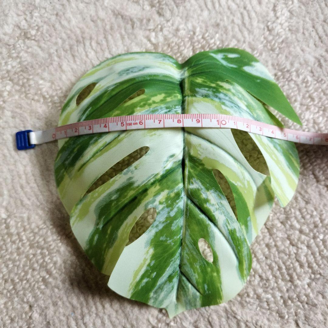 班入りモンステラフェイク