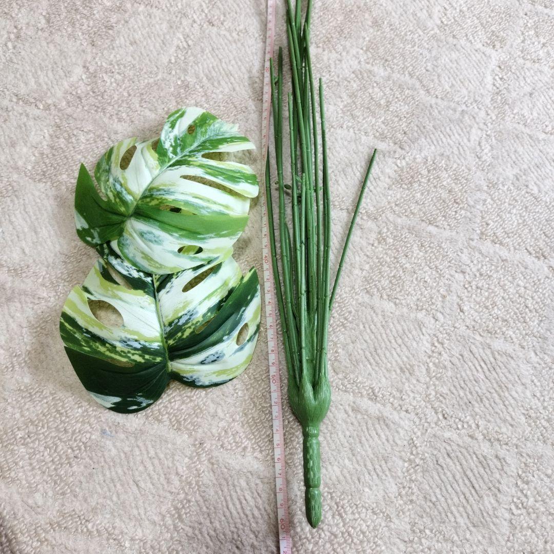 班入りモンステラフェイク