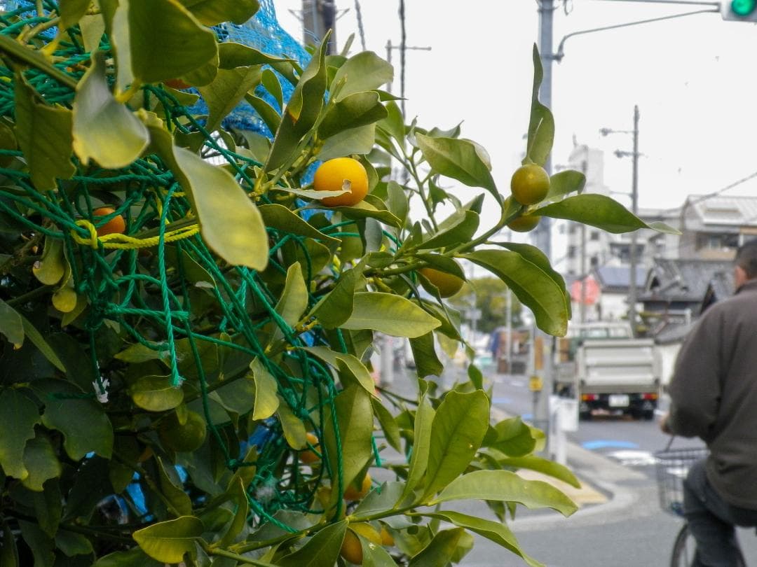 【可愛いすぎるコンデジ】PENTAX optio H90 ホワイト×シルバー