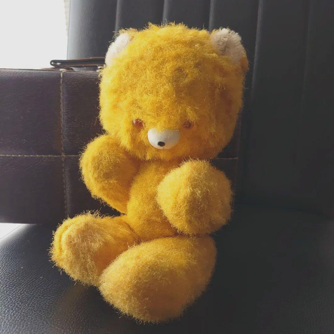 DDRベア/ベルリンベア/ヴィンテージ テディベア/イエロー系