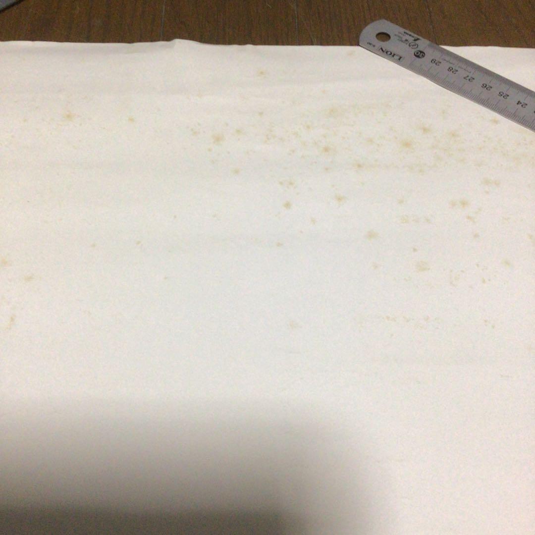 フィル・ライノット ポスター