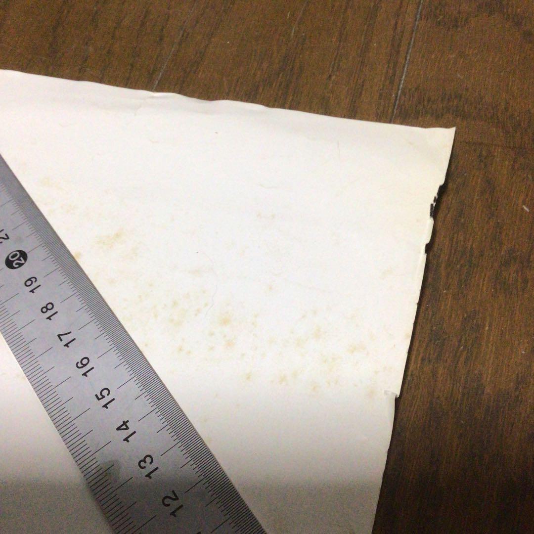 フィル・ライノット ポスター