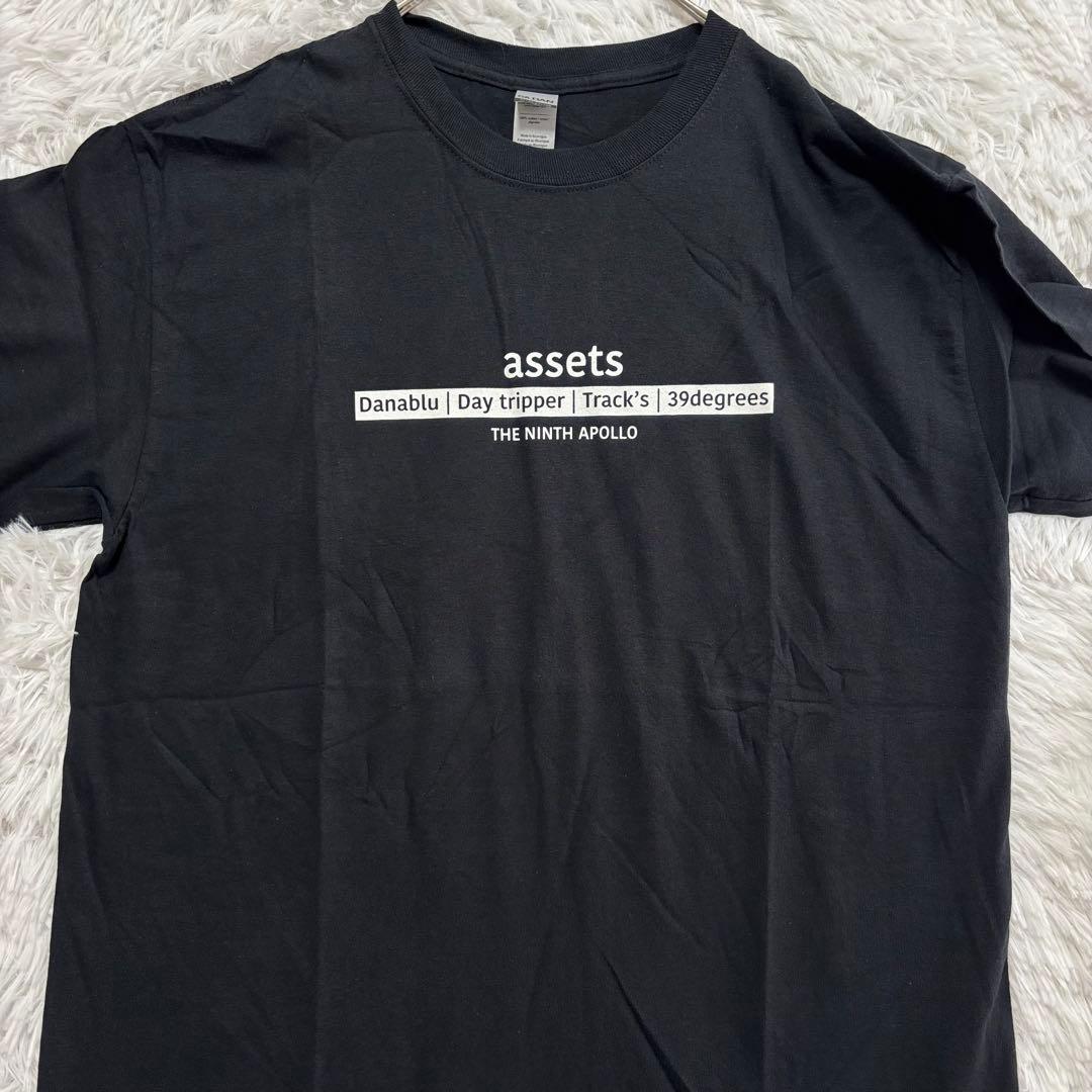 未使用品 ナインスアポロ 長袖Tシャツ L 大きめ バックプリント ユニセックス