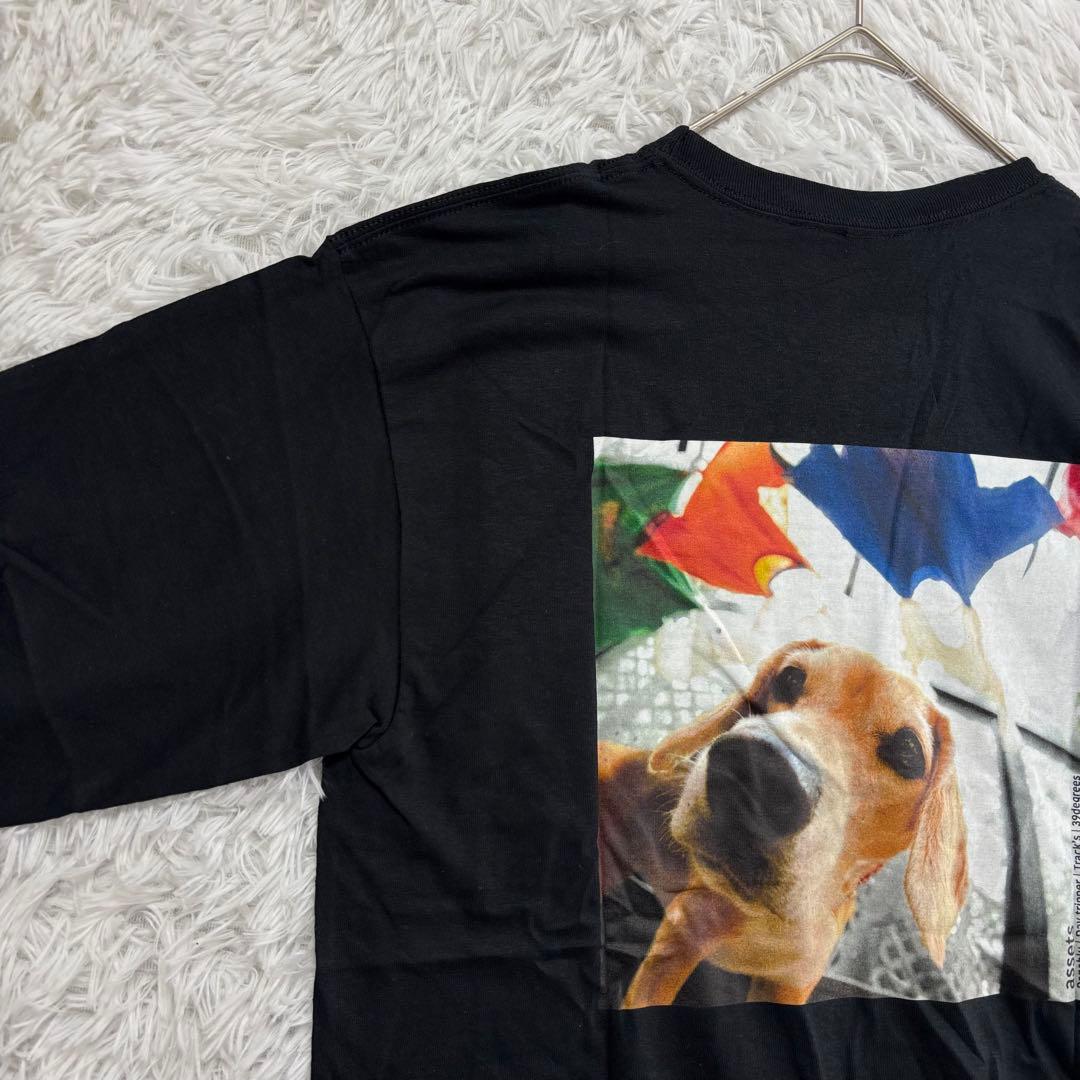 未使用品 ナインスアポロ 長袖Tシャツ L 大きめ バックプリント ユニセックス