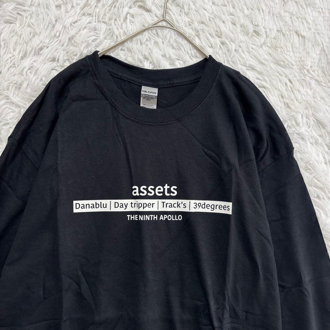 未使用品 ナインスアポロ 長袖Tシャツ L 大きめ バックプリント ユニセックス