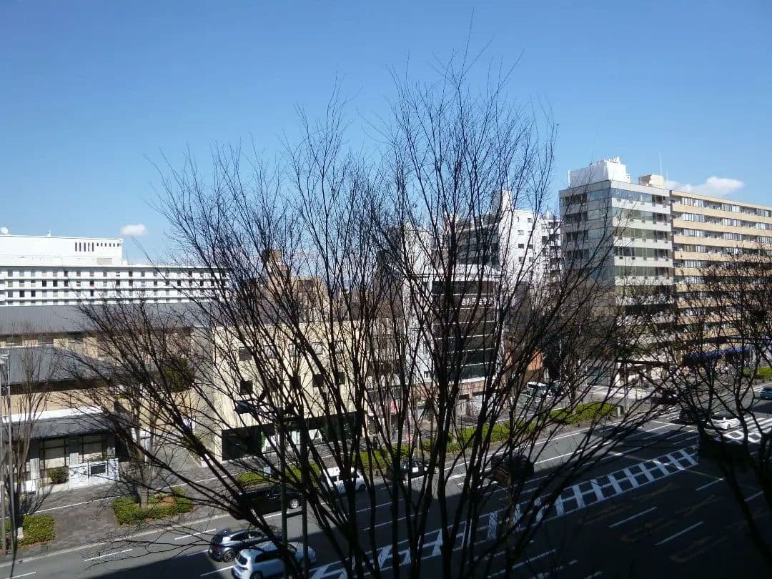 ✨️LUMIX DMC-FX77 動作確認済 コンデジ オールド リリーホワイト