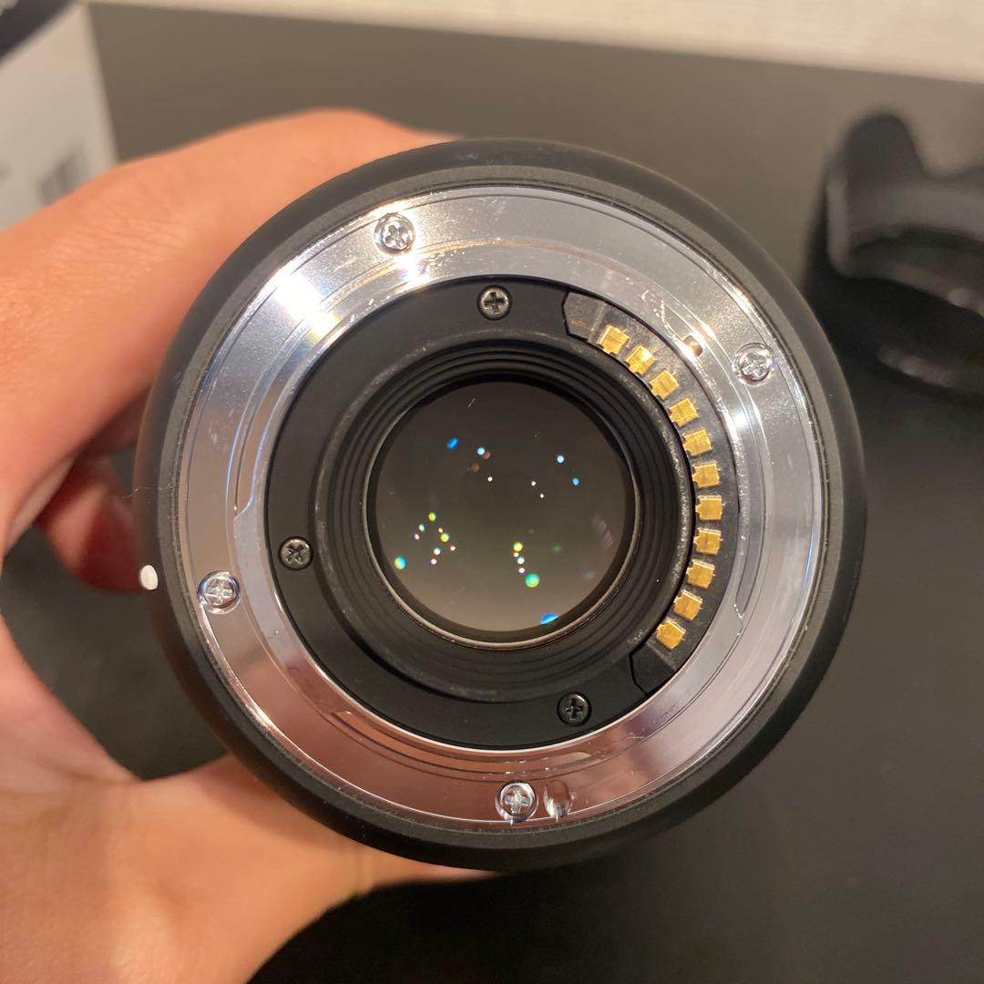 【美品】作例あり SIGMA 16mm f1.4dcdn (M4/3マウント)