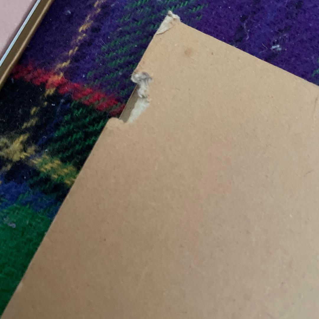 ザ・ストリートスライダーズ 土屋公平 /蘭丸 写真集