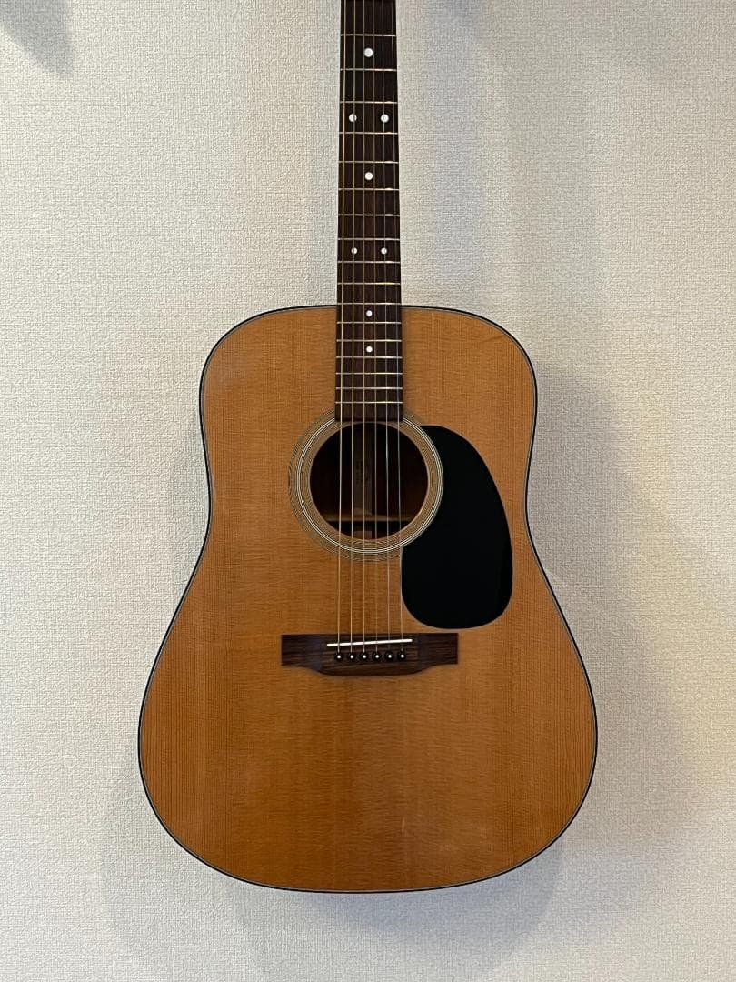 Martin D-18　 2010年製　PLEK調整済み