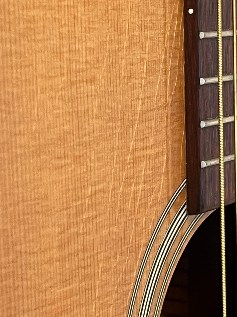 Martin D-18　 2010年製　PLEK調整済み