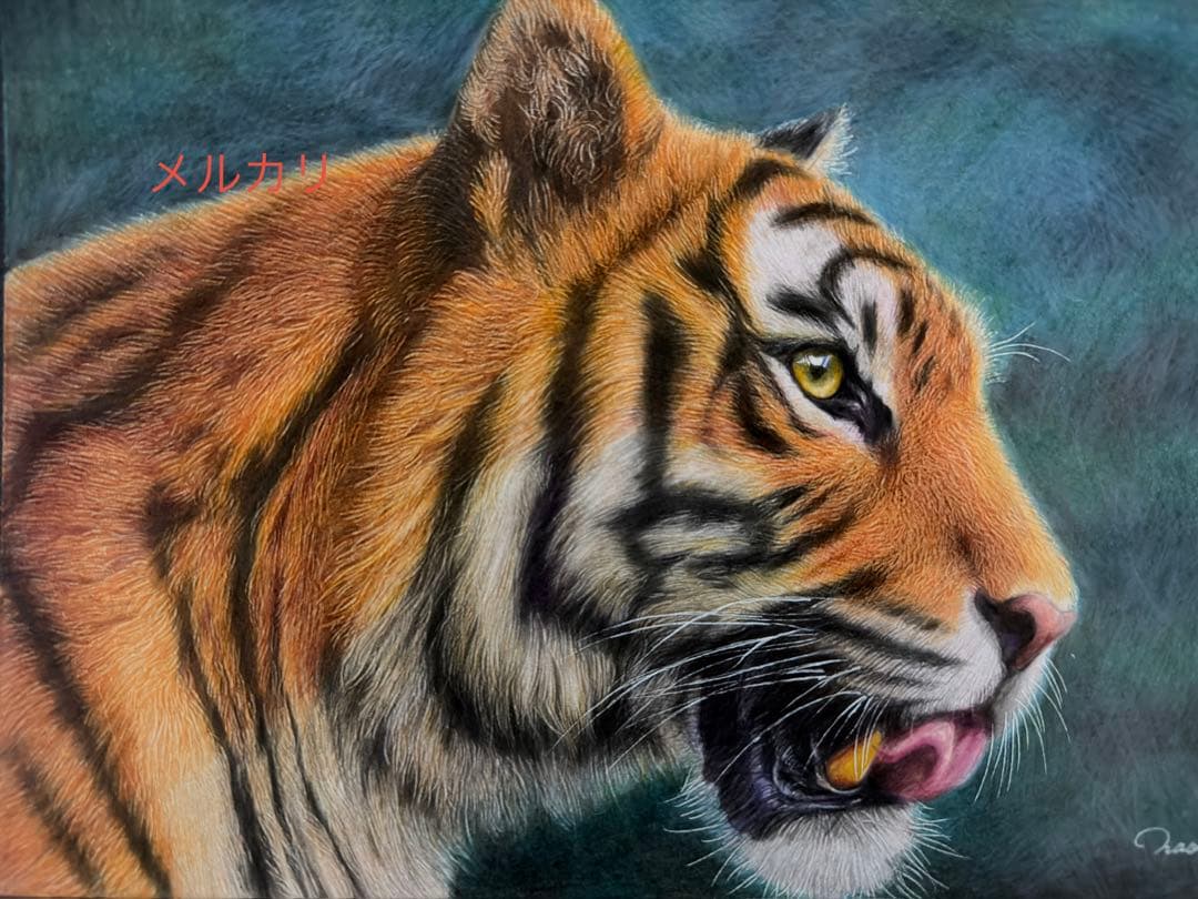 色鉛筆画A4 虎.25