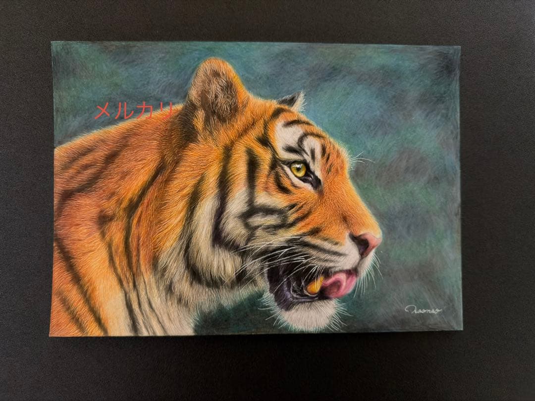 色鉛筆画A4 虎.25