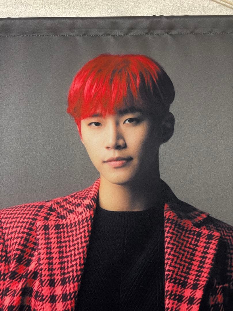 2PM six Higher days ジュノタペストリー