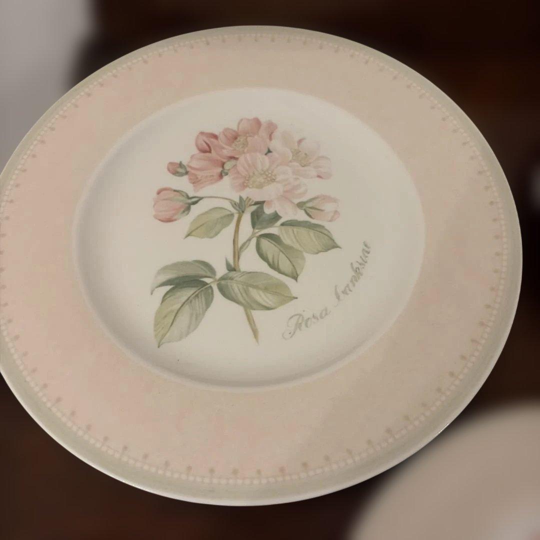 VILLEROY ＆ BOCH 花柄葉柄陶器大中4枚セット