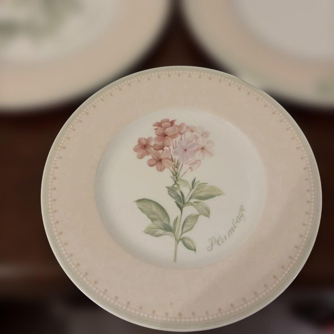 VILLEROY ＆ BOCH 花柄葉柄陶器大中4枚セット
