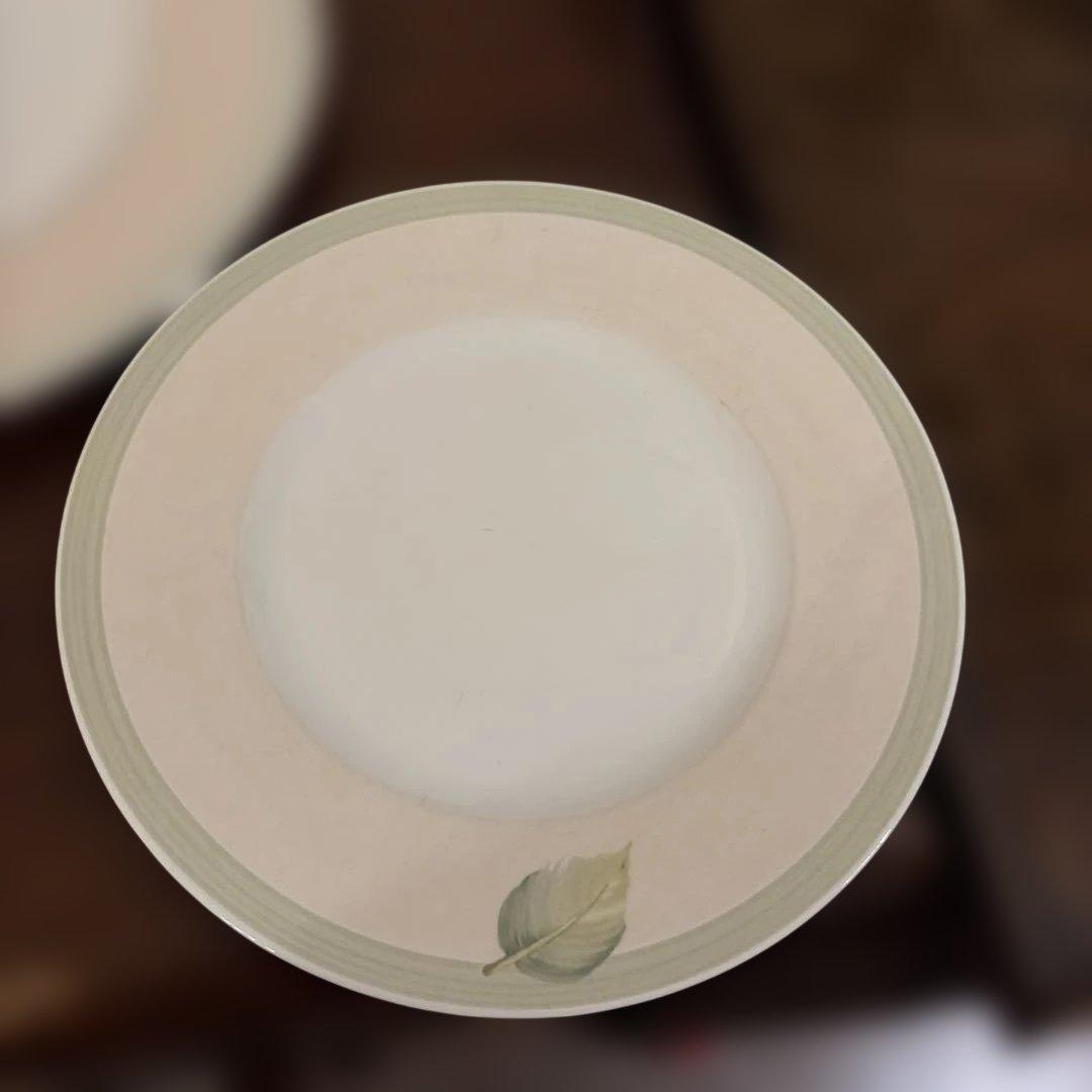 VILLEROY ＆ BOCH 花柄葉柄陶器大中4枚セット