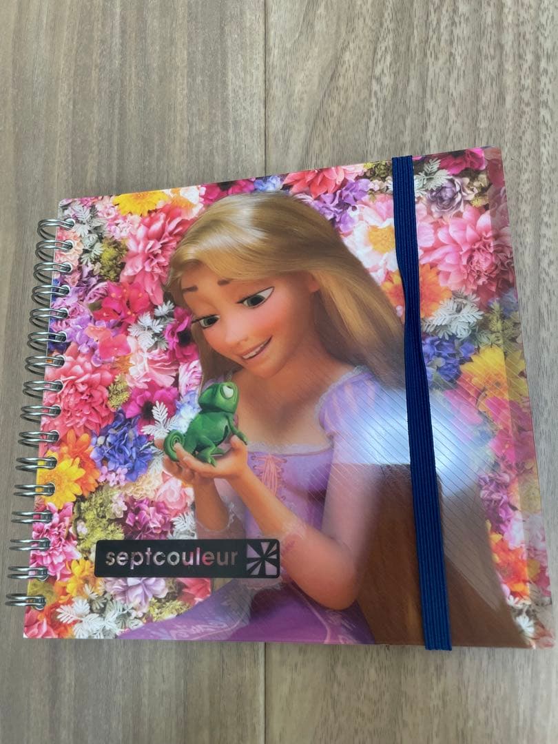 東京ディズニーリゾート キャラクターグッズ 9点セット　ラプンツェル　シンデレラ