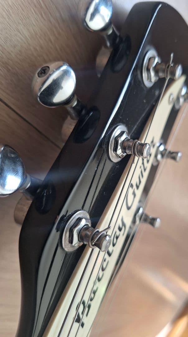 Barclay バークレイ Rickenbacker 330 モデル