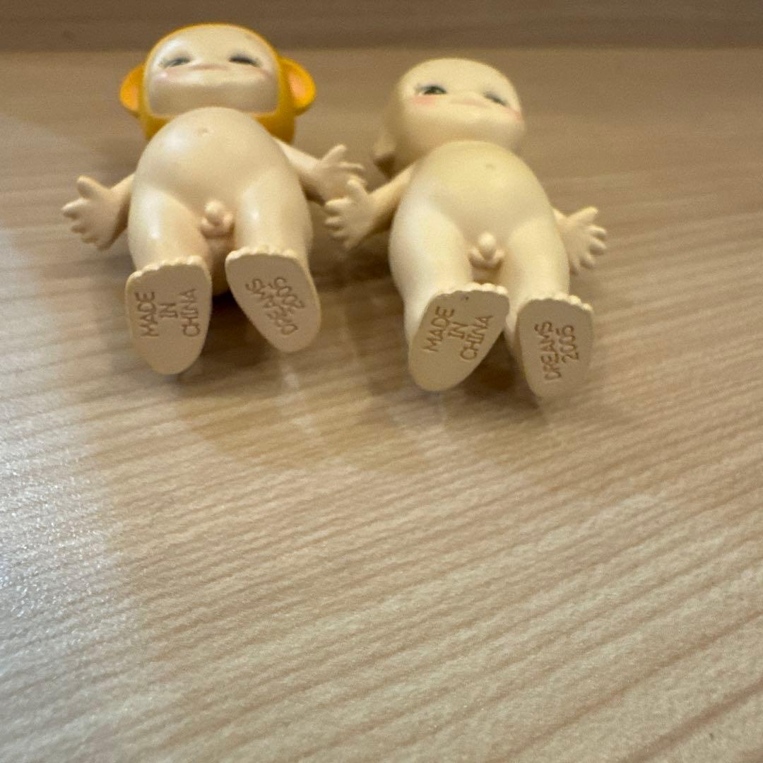 ソニーエンジェル　2005 シークレット　新芽