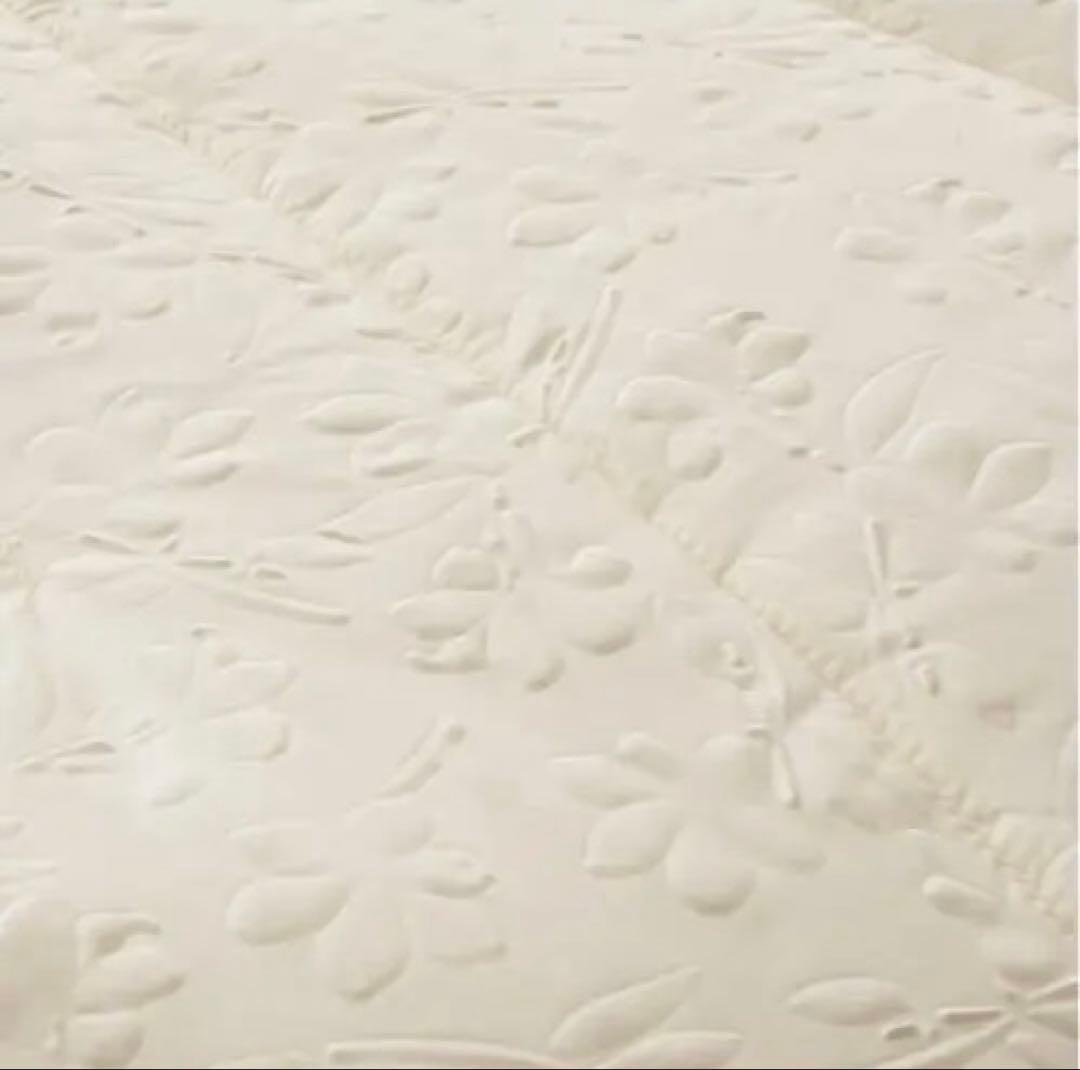 モリリン【メルティーリッチダウン】ほこりが出にくい防ダニ・ふわもち敷きパッドSW