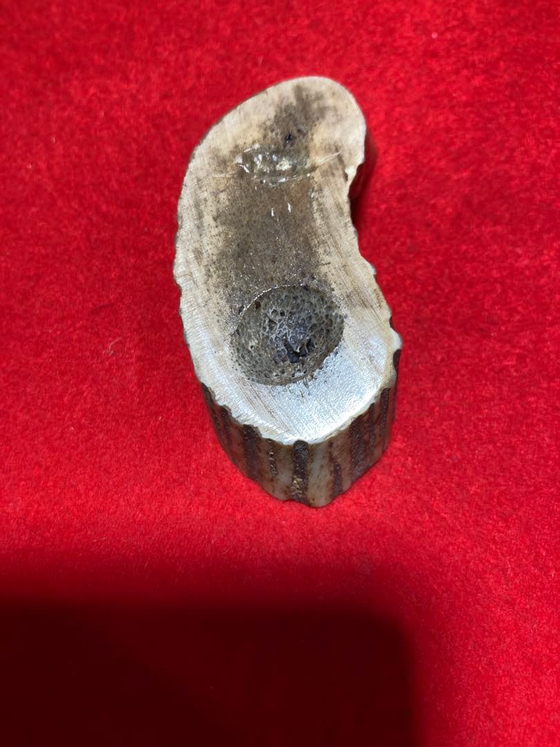 骸骨　正司斎共箱　根付け