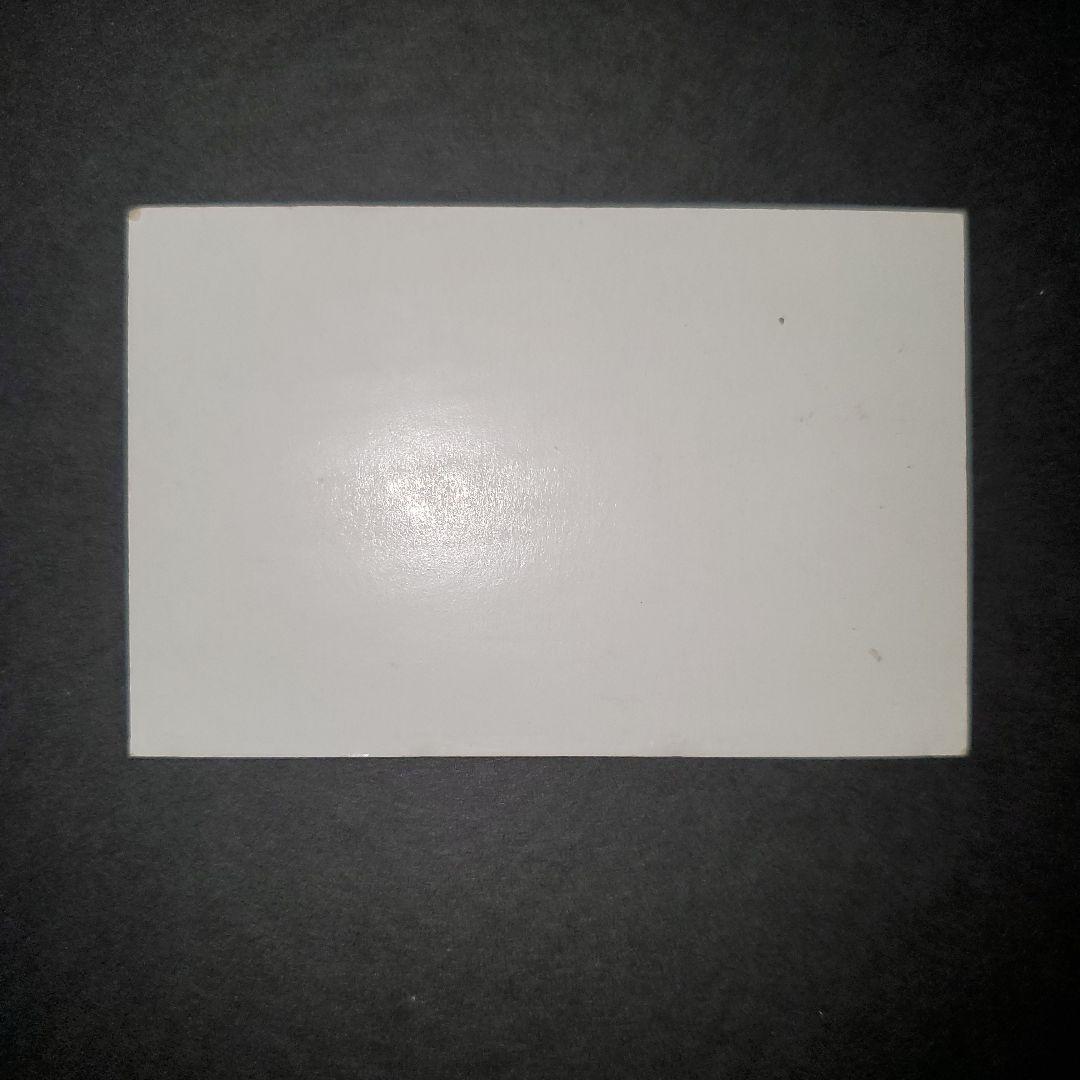 任天堂 Nintendo ゲーム＆ウォッチビネット シェフ