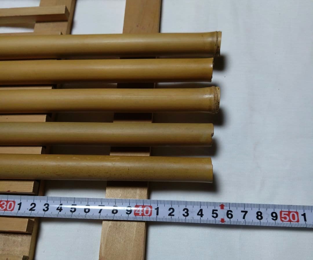 女竹　篠竹 　5 本セットR7ー6