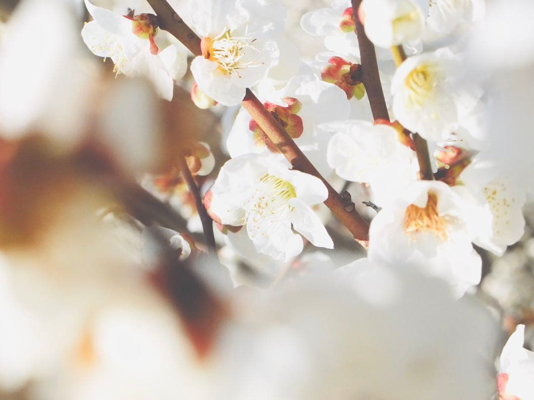 【機関良好】Fujifilm X10