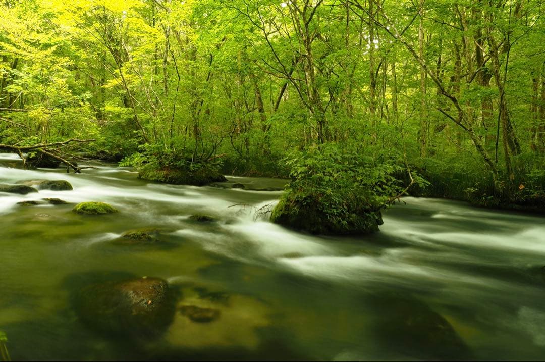 【機関良好】Fujifilm X10