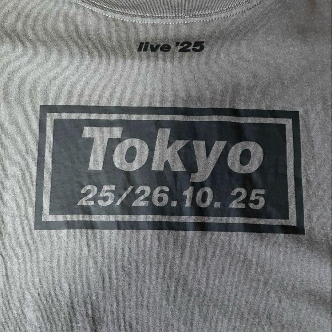 【日本限定】Oasis Tシャツ 富士 Lサイズ