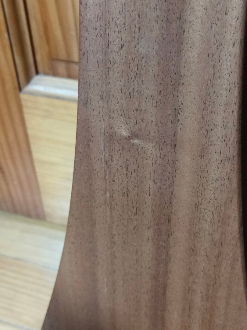 ギター Martin Backpacker