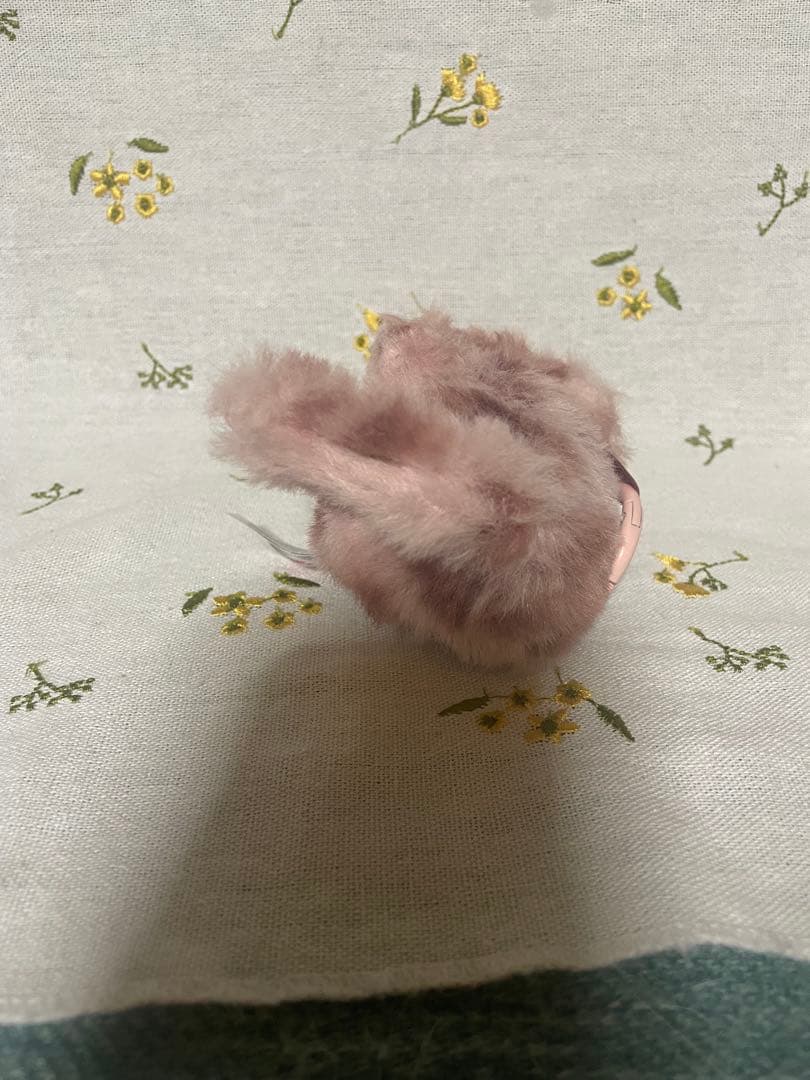 Cry baby WILD but CUTIE シークレット含む　3点セット