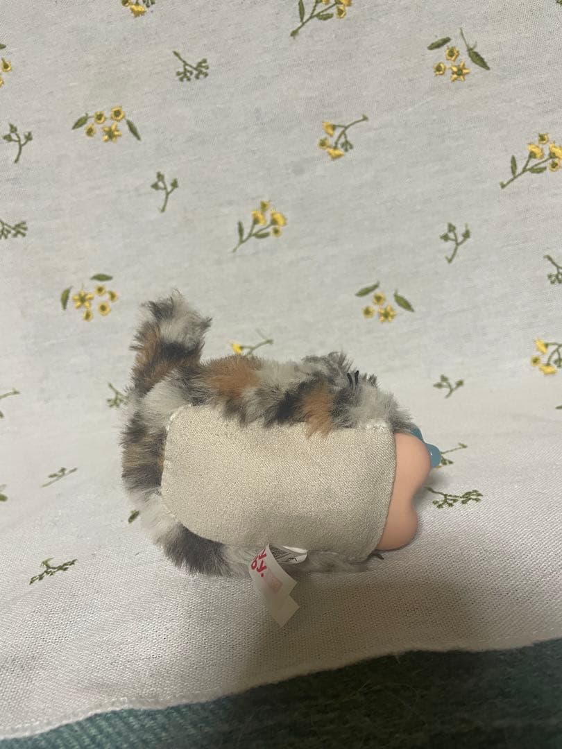 Cry baby WILD but CUTIE シークレット含む　3点セット