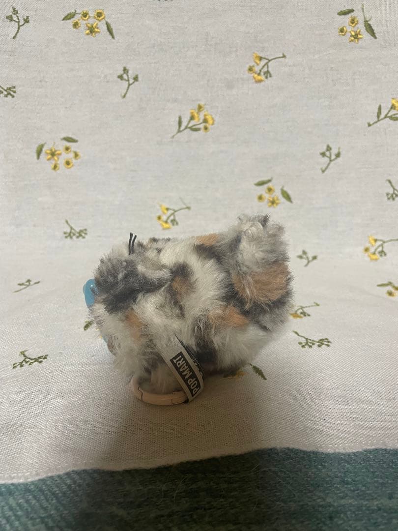 Cry baby WILD but CUTIE シークレット含む　3点セット